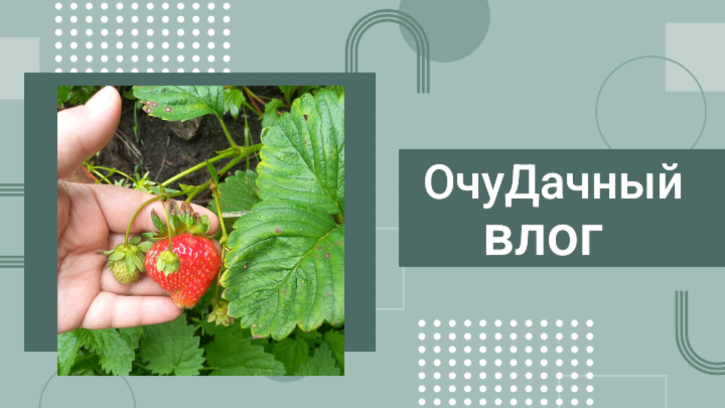 Выезд в выходные на дачу / Очумелые
