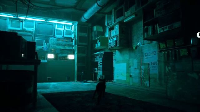 Stray - i3 9100F RX 570 8 GB 16 RAM - GAMEPLAY
