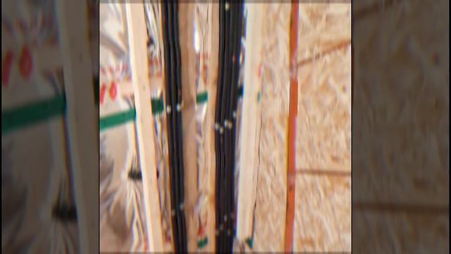 1000027081.mp4 (Собака смотрит на монтаж э/проводки на кухне в доме А-фрейм)