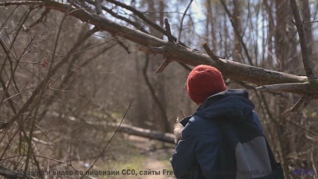 Он заставляет сердце биться чаще - проверь себя! - Silence By Sentence -- One Man Book -- Potlatch