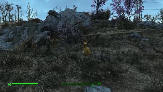 Одинокая ветка сирени. Тюрк кабай... Fallout 4