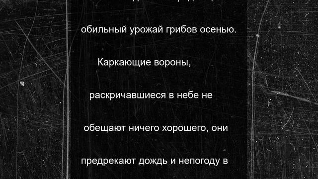 О чем псковичам расскажет погода в это восресенье