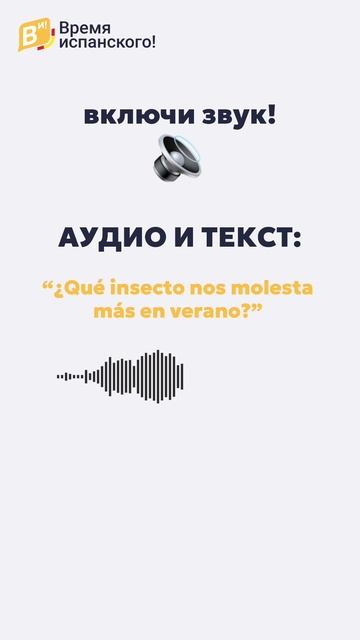 Проверь свой испанский за минуту! Пиши результат в комментариях!