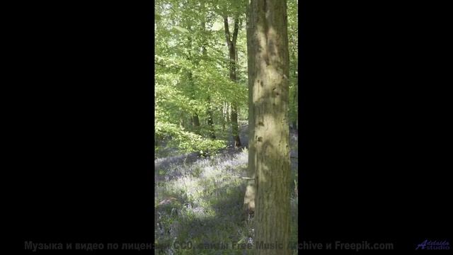 Сердце танцует, а разум отдыхает при этом клипе - Ye -- Double-F the King -- Unnamed album