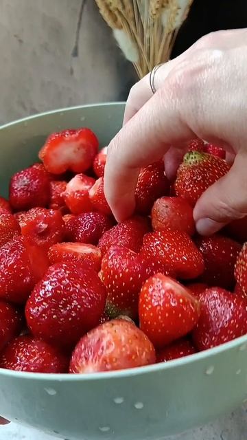 сезон ягоды заморозка клубники