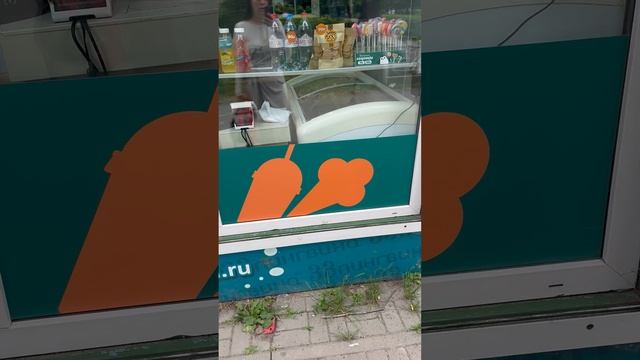 Обзор 33 Пингвина