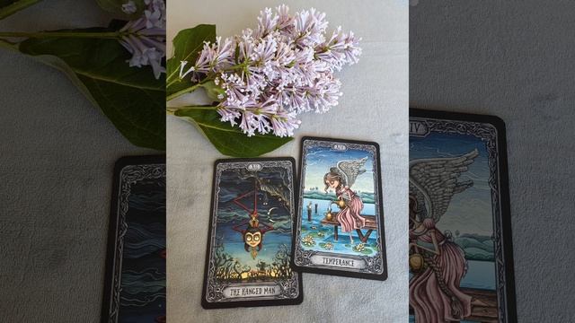Водолеи ♒, ваша неделя с 23 по 29 июня.