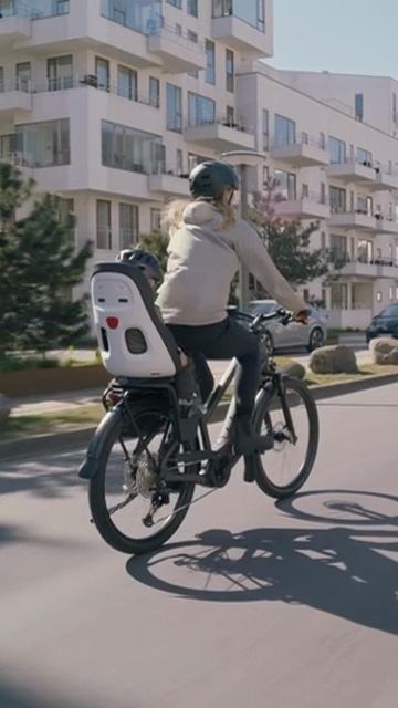 Детское велокресло Thule_Yepp_mixed