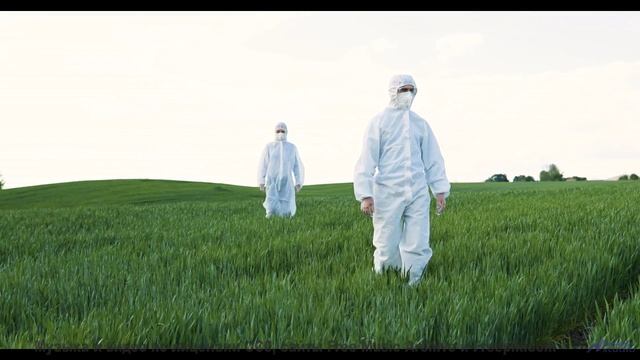 Поля наполняются жизнью вместе с этим саундом - Hey, Augusta -- The Agrarians -- Hey, Augusta
