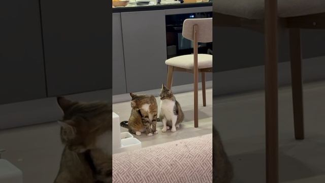 1000145122.mp4
