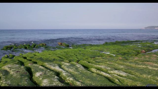 Звуки, программирующие вашу судьбу - наука или предрассудки - Full Circles -- Ketsa -- Growth