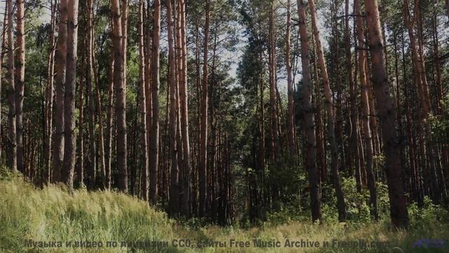 Мелодия двигает облака прямо на ваших глазах - Jed Les Mana (IX) -- opo -- Estudios Indigeniformes