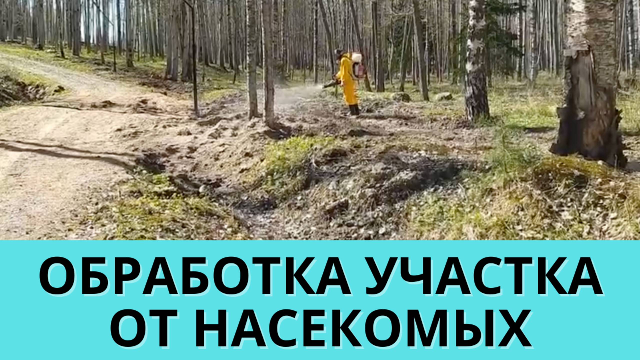 Обработка участка от насекомых: комаров и клещей