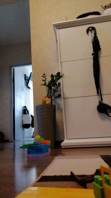 VID_20250622_172938.mp4