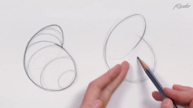 101. how-to-draw-cross-contour-on-3d-forms