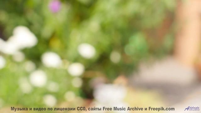 Леса манят сильнее, когда сопровождает такой саунд - Summer Has Long Hair -- Krestovsky -- Song of t