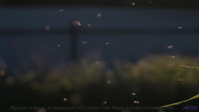 Отправляйтесь в путь под эту песню - и каждый момент станет особенным! - Be a Mom -- Rotor Perdition