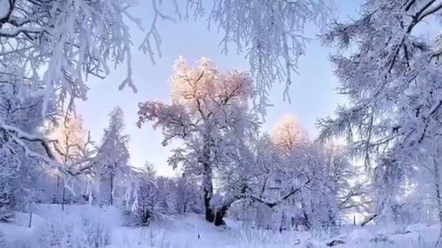 Кино место для шага вперёд