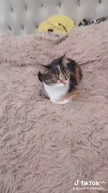 1000071468.mp4