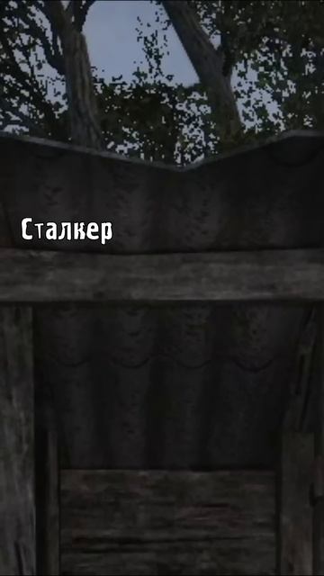 Маленький сталкер нашёл Винторез...