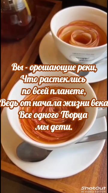 VID_20250622_104734_492.mp4