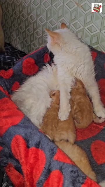 Доброе утро Ребята 🌞❤️😻