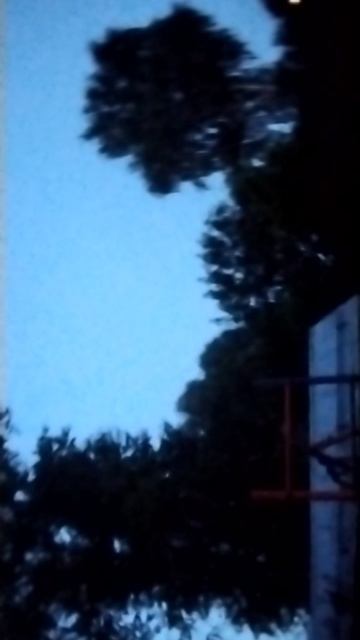 1000021664.mp4