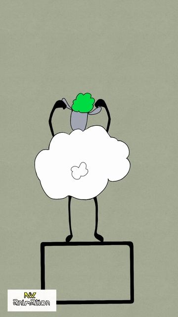 N.V. animation