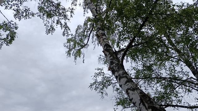 22 июня выезд на Волгу,река Кубань