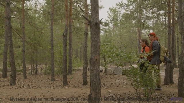 Звуки, которые ВХОДЯТ в разум. - Cyan Sing -- Tim Woulfe -- A House Is A Holding