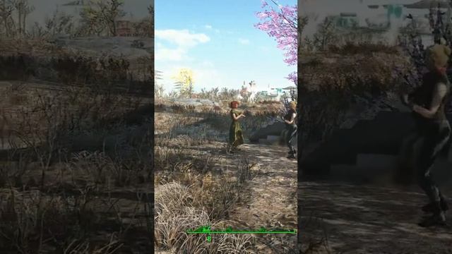 Одинокая ветка сирени. Тюрк кабай. Fallout 4