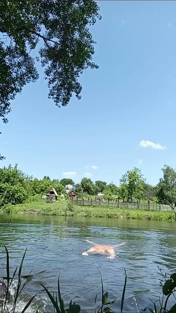 спасатель