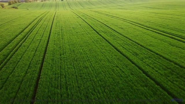 Мелодия, которая заставляет хотеть свернуть на любую неизвестную дорогу - First Time -- Duncan Reid