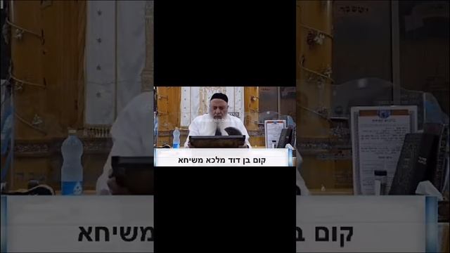 Евреи в одном видео