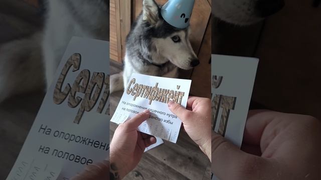 Джагеру 12 лет
