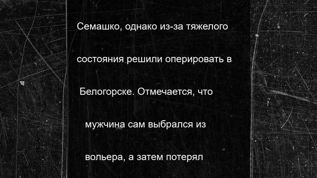 Раскрыто состояние владельца "Тайгана" после нападения львов