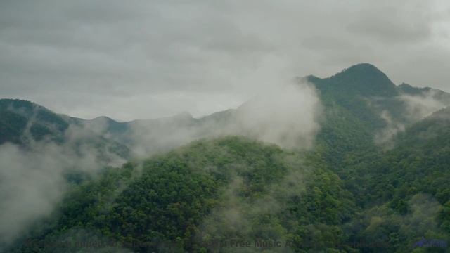 Сердце танцует, а разум отдыхает при этом клипе - 13 Feeling-Fine -- Ketsa -- Nothing Left Behind