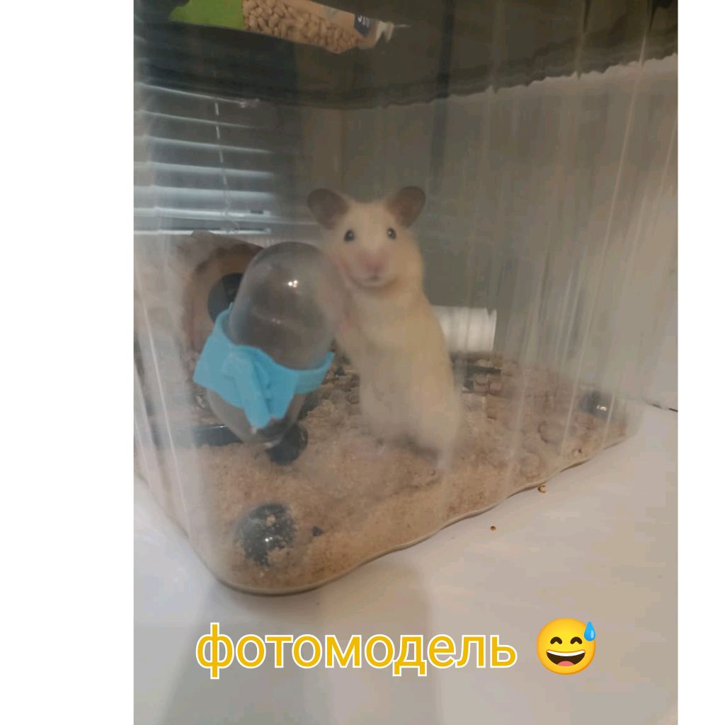 прямо фотомодель!