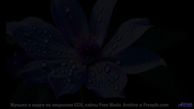 Эти пейзажи заряжают, а музыка - взрывает! - A New Path -- Kirk Osamayo -- Season Two (GREEN)
