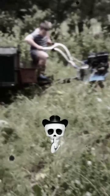 тимоха делает😎🤙