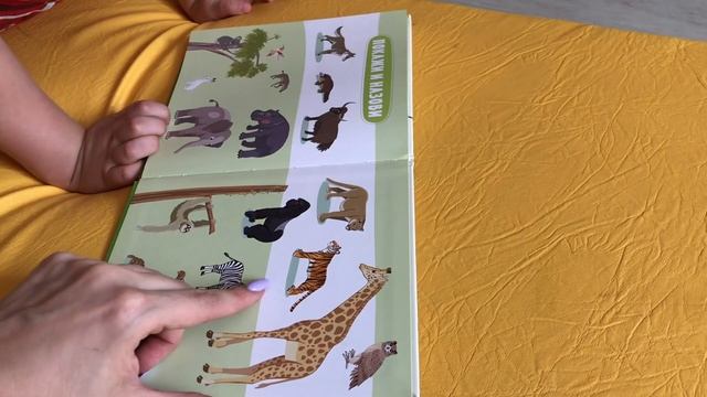 Сидим дома / Чем занять ребенка / Гречневый хлеб на кефире / Влог
