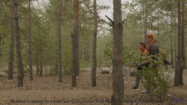 Клип, созданный блокчейном - технологии меняют искусство! - Talk About the Weather -- Les Hayden --