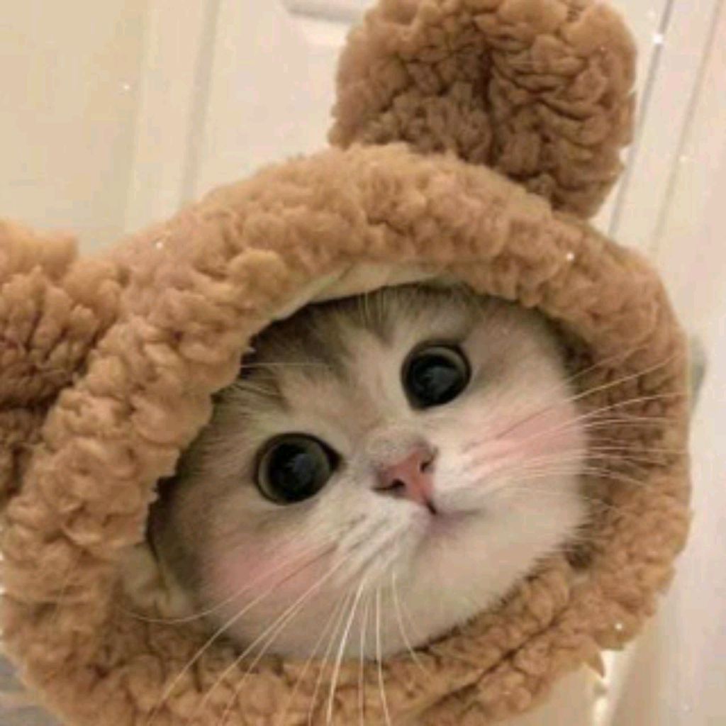 Дашуля🥰