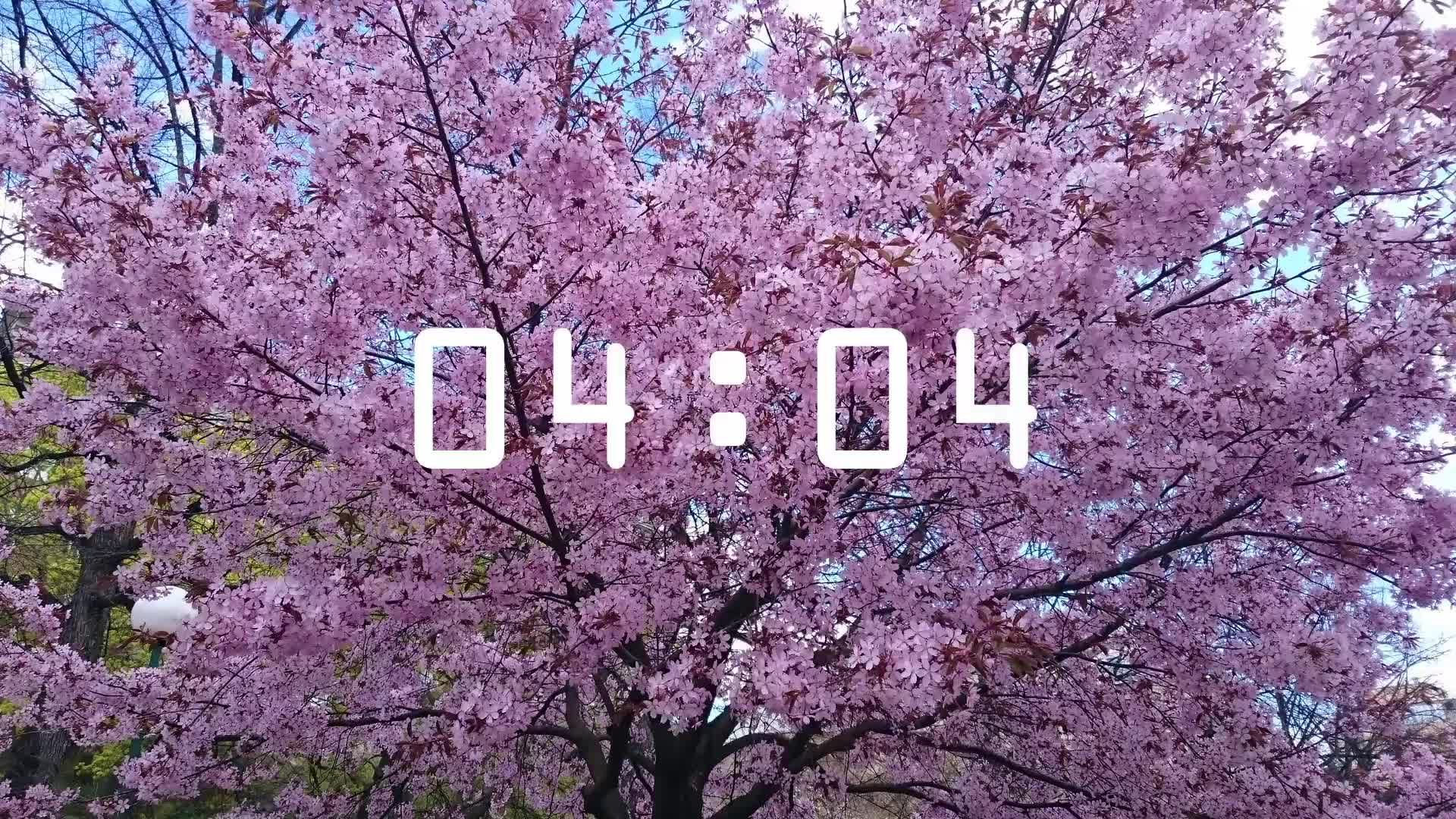 Богослужение 22.06.2025