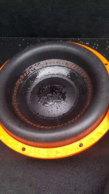 Gryphon lite V.3 (by dl audio)