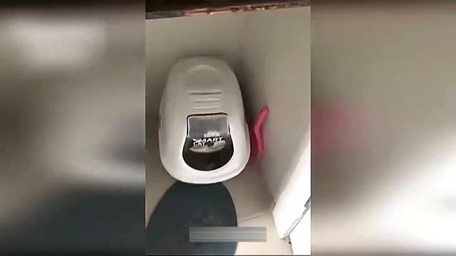 Всячинки