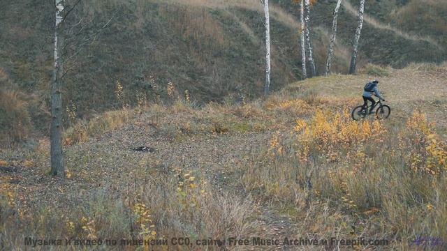 Лесные пейзажи качаются на нотах, как на волнах - Quiet Houses -- HoliznaCC0 -- Only In The Milky Wa