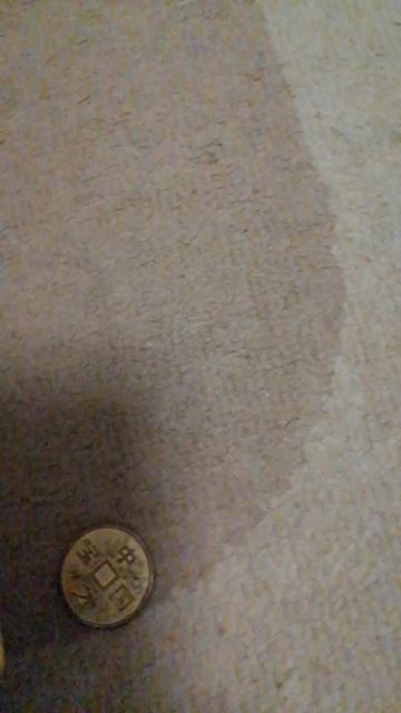 VID_20250622_165932.mp4
