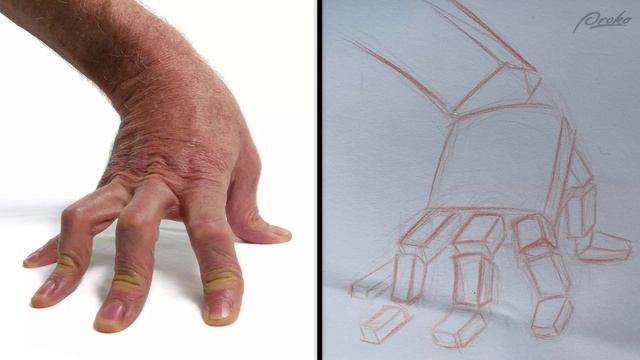 92. critique-mannequin-hands