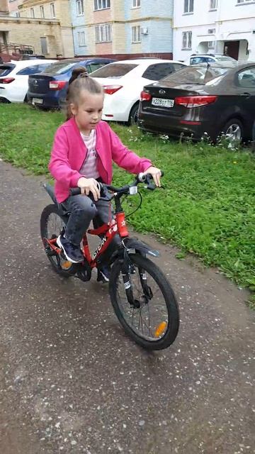 морковь про